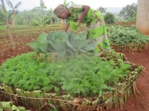 CDJP Gikongoro team and community